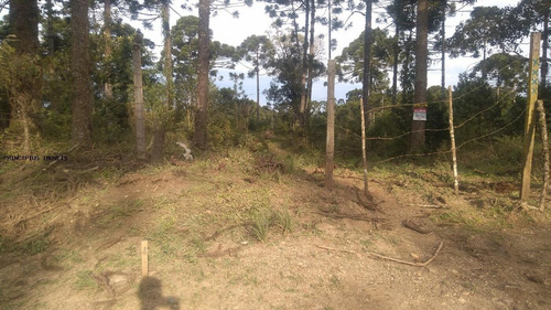 Imagem 11 de 15 de Chácara Para Venda Em Campina Grande Do Sul, Imbuial - 00292_2-1224372