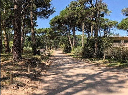 Imagen 5 de 8 de Exclusivo Lote Sobre Av Divisadero Carilo