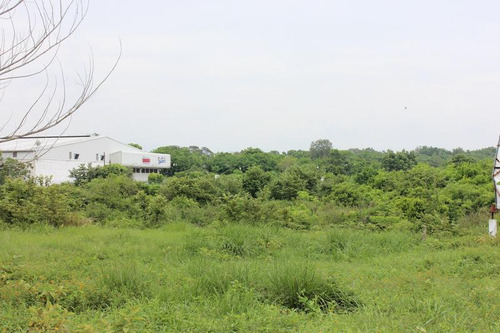 Venta Terreno Tuxpan Ver, Carretera Tuxpan-tamiahua 5 Has