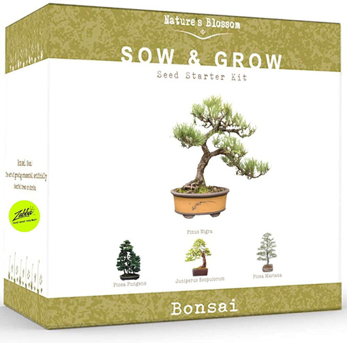 Natures Blossom Bonsai Kit Principiante Semillas Cultivalo V