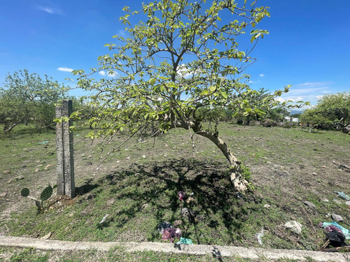 Terrenos En Venta Atlatlahucan Morelos
