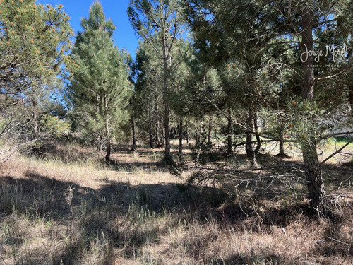 Lote Venta Barrio Costa Esmeralda - Golf 2 - 1180m2 #id 11473