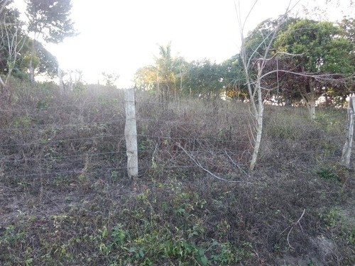 Terreno Venta 1050 M² En Esquina Cruz Naranjos Tuxpan Veracruz