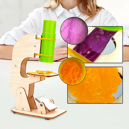 Juguete Educativo De Madera Diy Science Toys Para