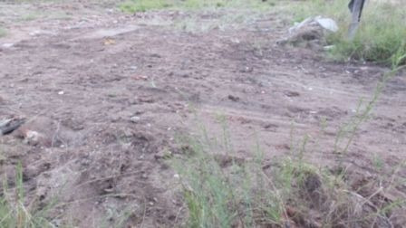 Terreno Em Aberta Dos Morros - Mi13992