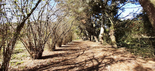 Fraccion De 8.1000 M² Parquizada Y Forestada