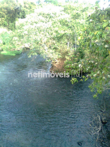Imagem 28 de 29 de Venda Chácara Zona Rural Conceição Do Pará - 875793