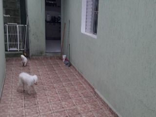 Imagem 9 de 30 de Casa - Ca00142 - 33662792