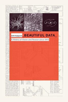 Libro Beautiful Data : A History Of Vision And Reason Sin...