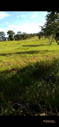 Imagem 11 de 16 de Chácara Condomínio Recanto Dos Ipês - Ch0019