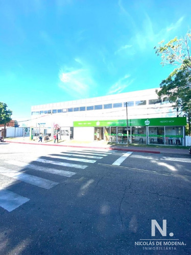 Maldonado - Local Comercial - Alquiler - 240m2