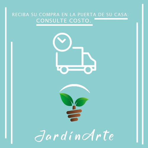 Imagen 4 de 5 de Aloe Vera Planta Con Propiedades Medicinales