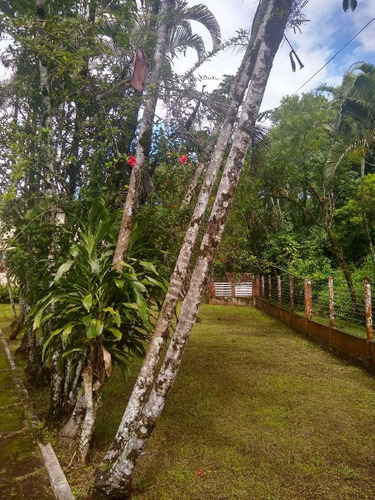 Imagem 14 de 14 de Linda Chácara Em Itanhaém