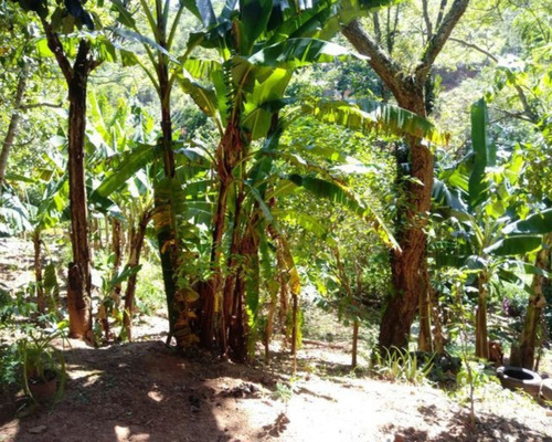 Imagem 19 de 21 de Chácara À Venda,5000.00 M², Bairro Da Pernambucana, Sao Jose Dos Campos - Sp - 2234