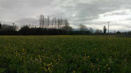 Excelente Parcela De 5.000.- M2 Camino A Campusano - Buin