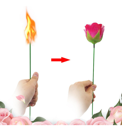 Accesorios Antorcha De Flores A Hombres Mujeres Accesorios