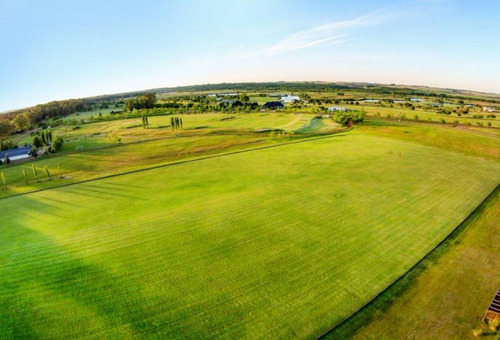 Imagen 10 de 19 de Carmelo Golf