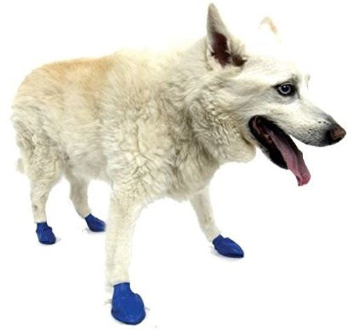 Pawz Azul Impermeable Perro Bota, Media, Hasta 3 Pulgadas