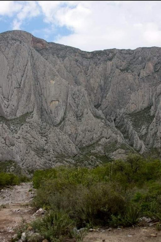 Imagen 3 de 18 de Terreno En Venta En La Huasteca Km 8.5