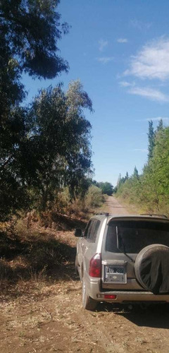 Imagen 5 de 10 de Finca 22 Hectarias En Colonia Elena San Rafael