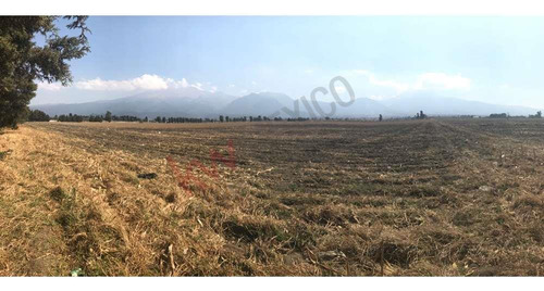 Atencion Desarrolladores , Este Magnifico Terreno Con Un Uso De Suelo Mixto Lo Ponemos A La Venta...