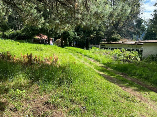Terreno En Venta En Huitzilac, A 100 M De Avenida Principal