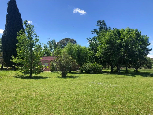 Venta Chacra Con Casa 2 Dormitorios Conchillas. Colonia