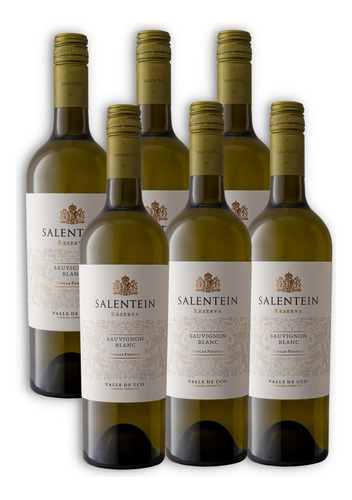 Salentein Reserva Vino Sauvignon Blanc Caja X6 750ml Mendoza