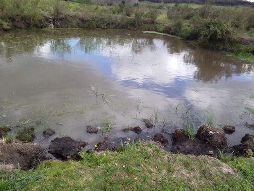 Campo Agrícola Ganadero En Canelones