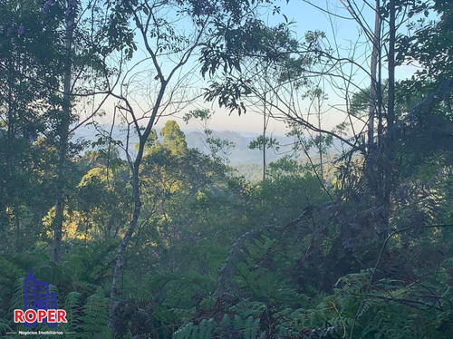 Imagem 14 de 23 de Chácara Com 35.000 M² Com 3 Casas/ Lago E Nascente À Venda Em Embu Guaçu/ São Lourenço Da Serra - Ch01031 - 34651874