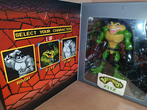 Zitz Battletoads Premium Dna Toycon Nj 2023 Figura De 6 Pulg (Usado)