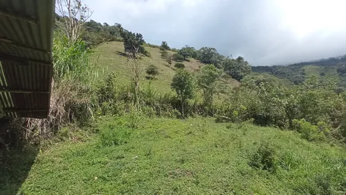 Venta Finca En La Montaña Cerca Al Lago Calima