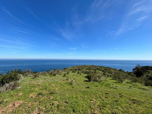 Vista Panorámica Al Mar, Zapallar Norte