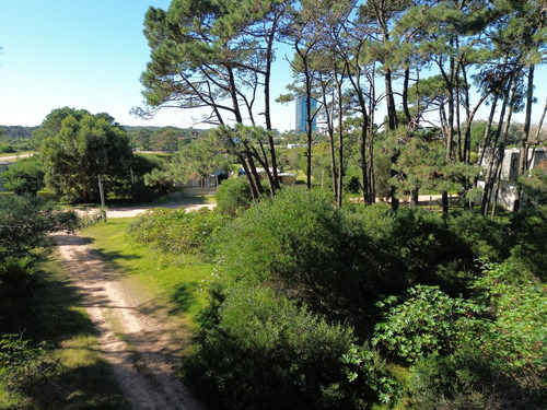 Terreno En Venta Para Construir Edificio En Punta Del Este (ref: Bpv-9909)