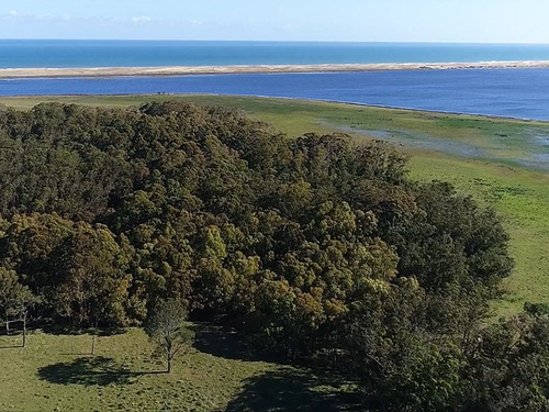 Venta Campo Sobre Laguna De Rocha 9651 (ref: Cbr-1199)