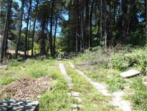 Imagem 5 de 12 de Terreno - Vila Suica - Ref: 292633 - V-292633
