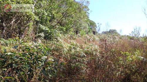 Chácara Rural À Venda. - Ch0012