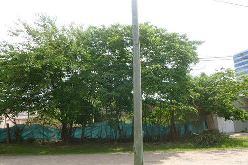 Lote En Escobar