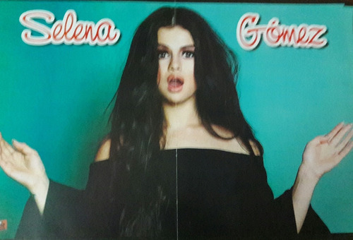 Poster Selena Gomez  46 X 31