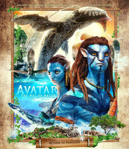 Avatar 2 + 1 Disco Bonus (bluray)