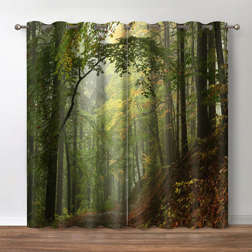 Jekeno Cortinas Opacas De Bosque De Montana, Selva Verde, Pa