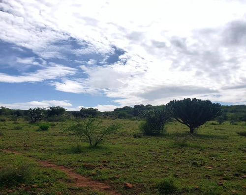 Terreno En Venta En Navajas, El Marques.