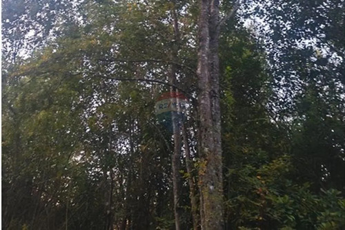 Parcela En Huincara, Villarrica