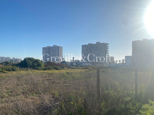 Terreno Plano, Los Membrillos C/ Avda Pacif (99216)