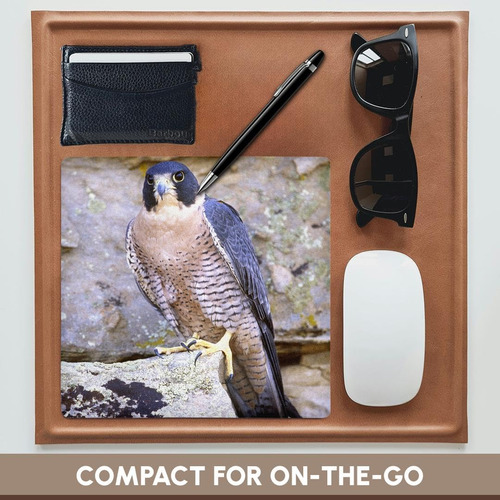 3drose Peregrine Falcon Bird Nativo De Us Na02 Dno0142 David