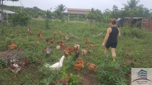Imagem 14 de 21 de Granja A Venda Em Pium