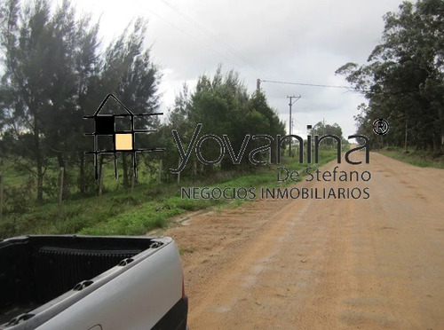Campo 21 Hectáreas Cuchilla Alta Ref. Y 150