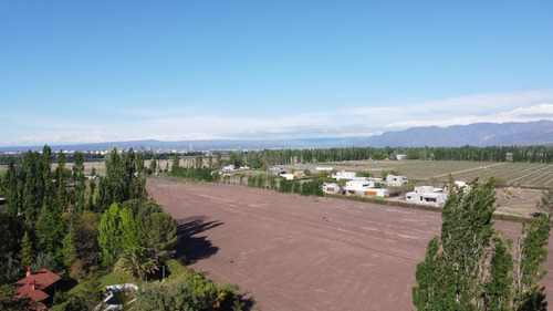 Venta Lotes Barrio Verona Vistalba Lujan De Cuyo