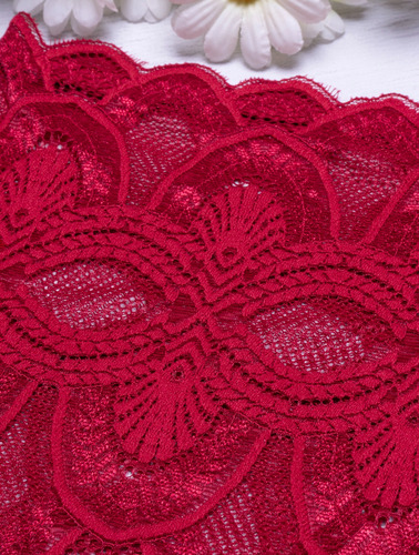 Pack 4 Panties Cachetero Premium Encaje Mujer Bordado Comodo