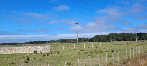 Oportunidad !!! Venta Terreno Campo 6 Hectáreas Sobre Ruta 11 Mar De Ajo